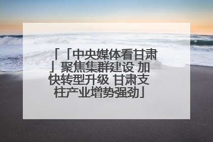 「中央媒体看甘肃」聚焦集群建设 加快转型升级 甘肃支柱产业增势强劲