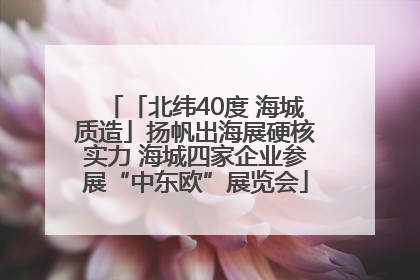 「北纬40度 海城质造」扬帆出海展硬核实力 海城四家企业参展“中东欧”展览会