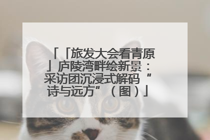 「旅发大会看青原」庐陵湾畔绘新景：采访团沉浸式解码“诗与远方”（图）