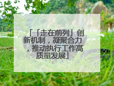 「走在前列」创新机制，凝聚合力，推动执行工作高质量发展
