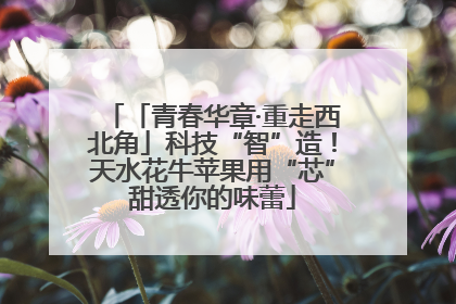 「青春华章·重走西北角」科技“智”造！天水花牛苹果用“芯”甜透你的味蕾