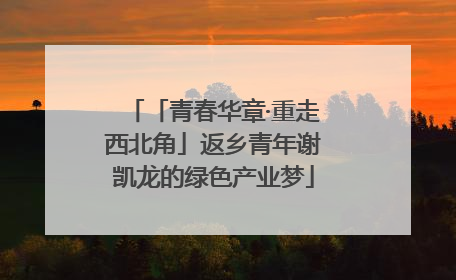 「青春华章·重走西北角」返乡青年谢凯龙的绿色产业梦