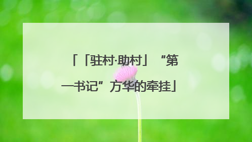「驻村·助村」“第一书记”方华的牵挂