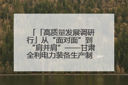 「高质量发展调研行」从“面对面”到“肩并肩”——甘肃全利电力装备生产制造项目一线见闻