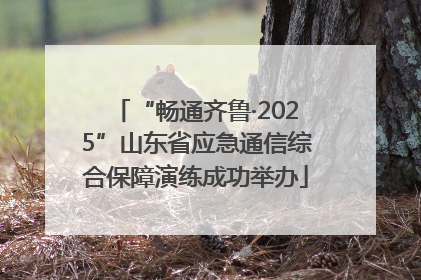“畅通齐鲁·2025”山东省应急通信综合保障演练成功举办