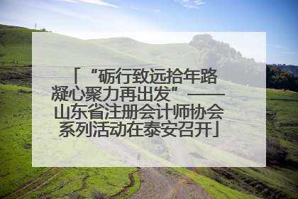 “砺行致远拾年路 凝心聚力再出发”——山东省注册会计师协会系列活动在泰安召开