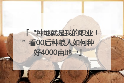 “种地就是我的职业！”看00后种粮人如何种好4000亩地→