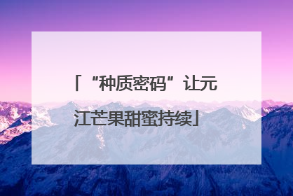 “种质密码”让元江芒果甜蜜持续