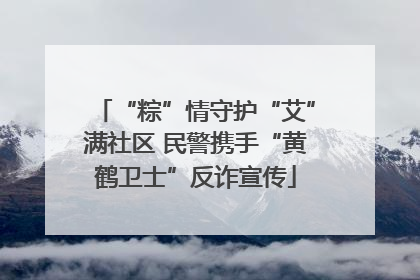 “粽”情守护“艾”满社区 民警携手“黄鹤卫士”反诈宣传