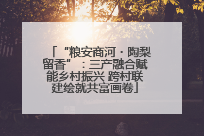 “粮安商河・陶梨留香”：三产融合赋能乡村振兴 跨村联建绘就共富画卷