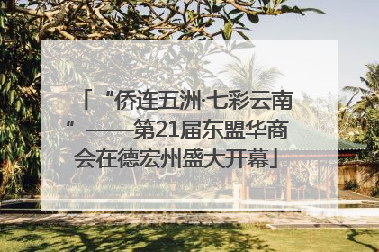 “侨连五洲·七彩云南”——第21届东盟华商会在德宏州盛大开幕