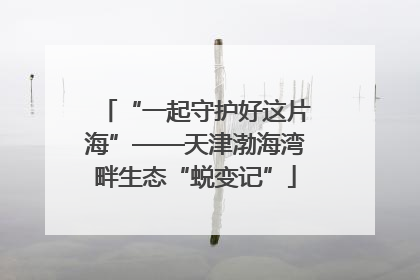 “一起守护好这片海”——天津渤海湾畔生态“蜕变记”