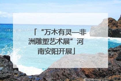 “万木有灵—非洲雕塑艺术展”河南安阳开展