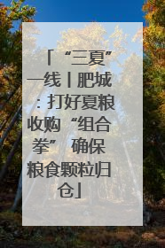“三夏”一线丨肥城：打好夏粮收购“组合拳” 确保粮食颗粒归仓