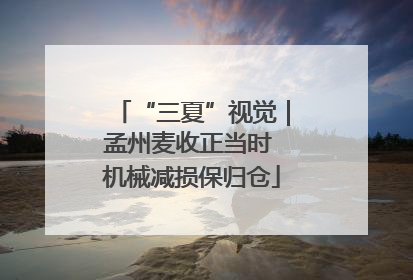 “三夏”视觉｜孟州麦收正当时 机械减损保归仓