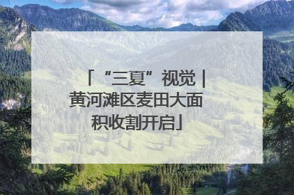 “三夏”视觉｜黄河滩区麦田大面积收割开启