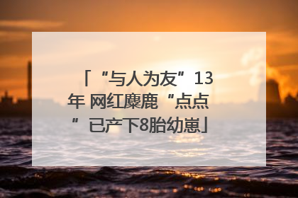 “与人为友”13年 网红麋鹿“点点”已产下8胎幼崽