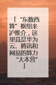 “东数西算”枢纽来沪推介，这里竟是华为云、腾讯和网易的算力“大本营”