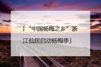 “中国杨梅之乡”浙江仙居启动杨梅季