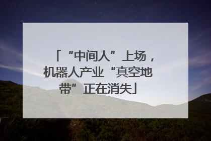 “中间人”上场，机器人产业“真空地带”正在消失