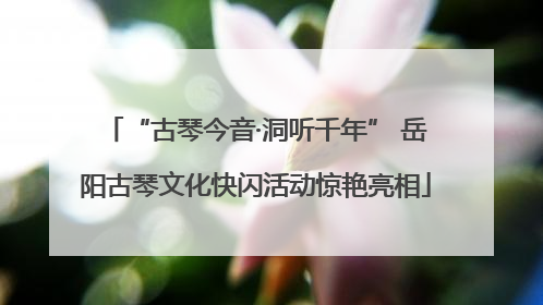 “古琴今音·洞听千年” 岳阳古琴文化快闪活动惊艳亮相