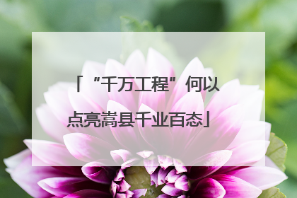 “千万工程”何以点亮嵩县千业百态