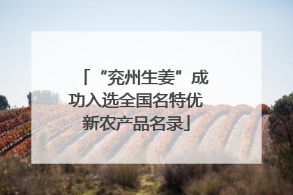“兖州生姜”成功入选全国名特优新农产品名录