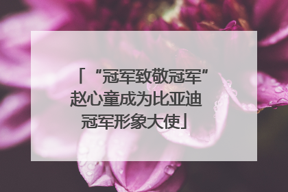 “冠军致敬冠军” 赵心童成为比亚迪冠军形象大使