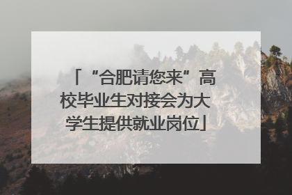 “合肥请您来”高校毕业生对接会为大学生提供就业岗位