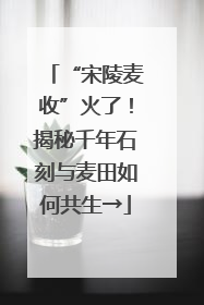 “宋陵麦收”火了！揭秘千年石刻与麦田如何共生→