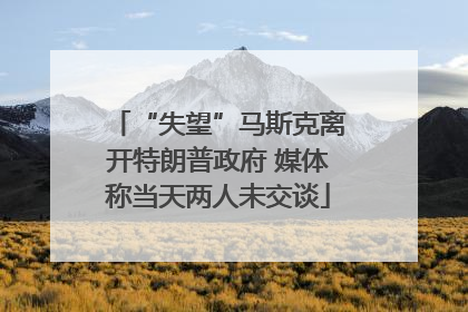 “失望”马斯克离开特朗普政府 媒体称当天两人未交谈