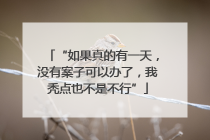“如果真的有一天，没有案子可以办了，我秃点也不是不行”