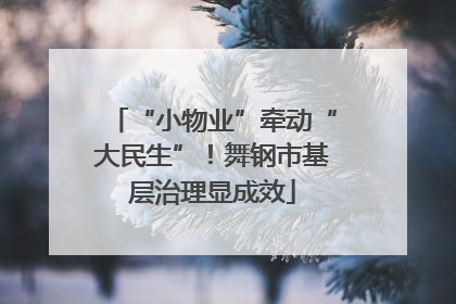“小物业”牵动“大民生”！舞钢市基层治理显成效