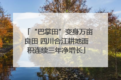 “巴掌田”变身万亩良田 四川合江耕地面积连续三年净增长