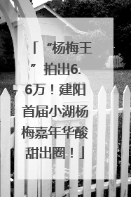 “杨梅王”拍出6.6万！建阳首届小湖杨梅嘉年华酸甜出圈！