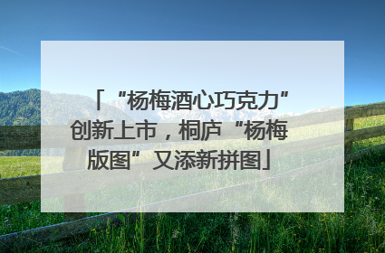 “杨梅酒心巧克力”创新上市，桐庐“杨梅版图”又添新拼图