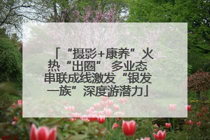 “摄影+康养”火热“出圈” 多业态串联成线激发“银发一族”深度游潜力