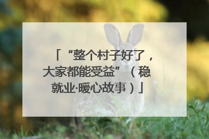 “整个村子好了，大家都能受益”（稳就业·暖心故事）