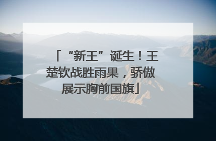 “新王”诞生！王楚钦战胜雨果，骄傲展示胸前国旗