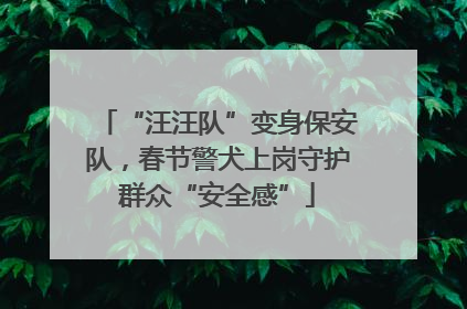 “汪汪队”变身保安队，春节警犬上岗守护群众“安全感”