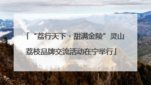 “荔行天下・甜满金陵”灵山荔枝品牌交流活动在宁举行