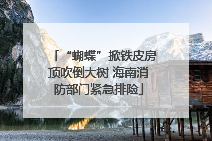 “蝴蝶”掀铁皮房顶吹倒大树 海南消防部门紧急排险