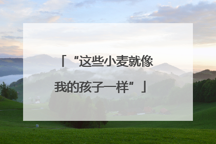 “这些小麦就像我的孩子一样”
