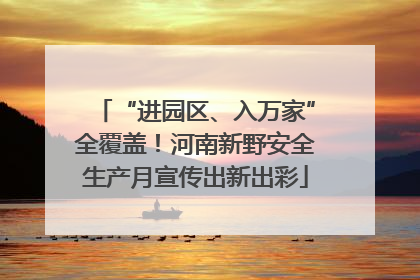 “进园区、入万家”全覆盖！河南新野安全生产月宣传出新出彩
