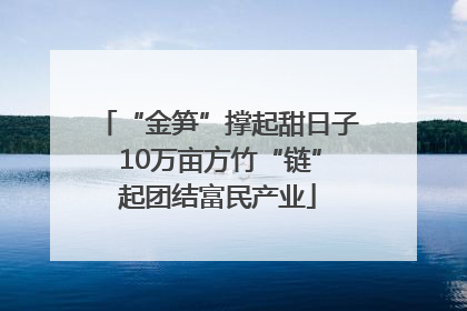“金笋”撑起甜日子 10万亩方竹“链”起团结富民产业