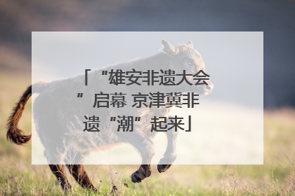 “雄安非遗大会”启幕 京津冀非遗“潮”起来