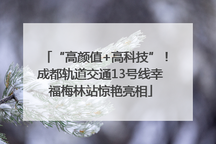 “高颜值+高科技”！成都轨道交通13号线幸福梅林站惊艳亮相