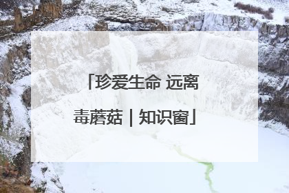 珍爱生命 远离毒蘑菇｜知识窗