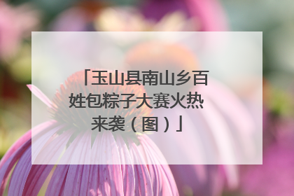 玉山县南山乡百姓包粽子大赛火热来袭（图）