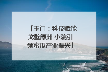 玉门：科技赋能戈壁绿洲 小院引领蜜瓜产业振兴